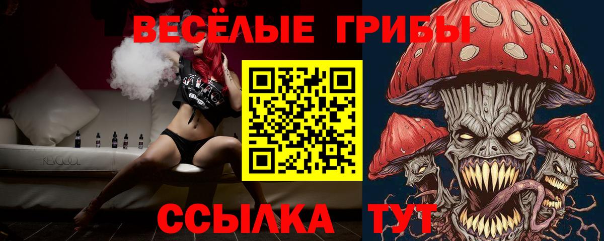 Всеволожск  Галлюциногенные грибы Psilocybine cubensis  Вход с VPN 